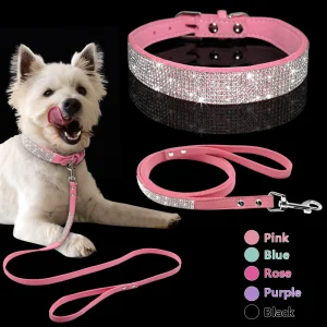 WoefieLux Design Halsband – Verstelbaar & Comfortabel - Glanzend - Bling Bling - Voor kleine tot middelgrote honden