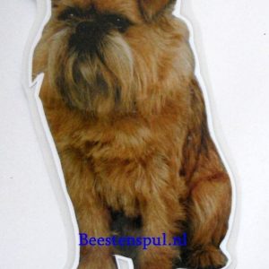 Sticker – Griffon Bruxellois – 4