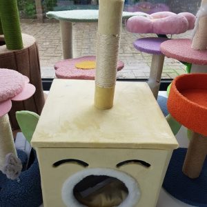 kittenpaaltje hungry fruity