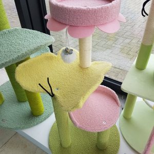 kittenpaal butterfly enjoy