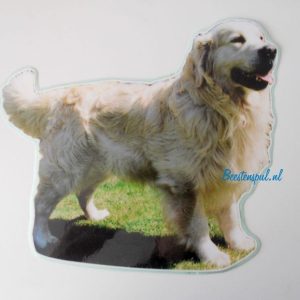 Sticker – Golden Retriever – 5