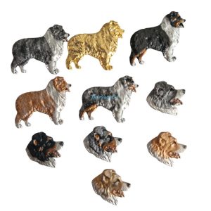 Pinbroche – Australian Shepherd