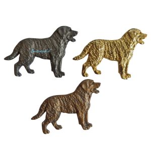 Pinbroche – Chesapeake Bay Retriever