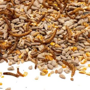 Strooivoer High Energy Plus met Meelwormen – Onkruidvrij