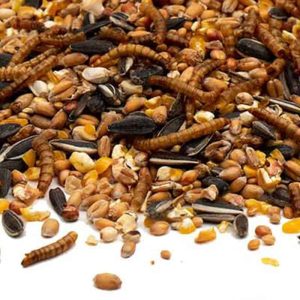 Strooivoer Supra met meelwormen