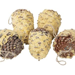 Dennenappel gevuld met vet