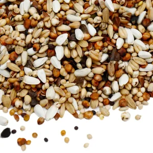 Premium Duivensnoepzaad