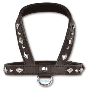 Doxtasy – Tuigje – Inca