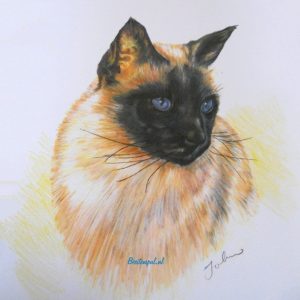 Prent – Birmees (Getekend)