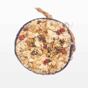 Halve gevulde kokosnoot – Granola