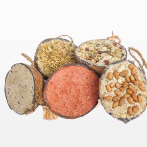 Halve gevulde kokosnoot – Mix Pakket Groot