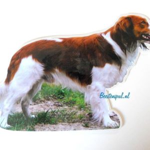 Sticker – Kooikerhondje – 9