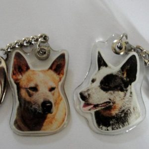 Sleutelhanger – Australian Cattle Dog – Gummi
