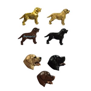 Pinbroche – Labrador