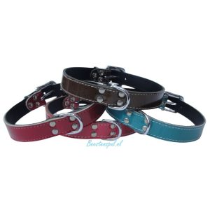 Halsband – Lak (D-ring in het Midden)