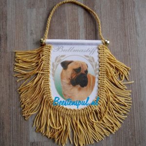 Vaantje – Bullmastiff