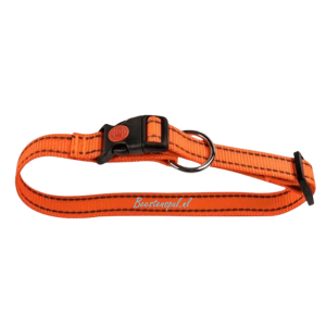 Halsband – Nylon Reflecterend- Oranje