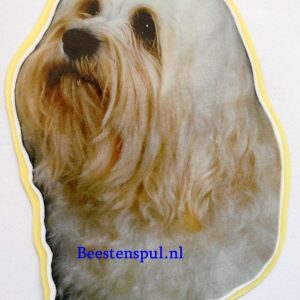 Sticker – Havanezer – 5