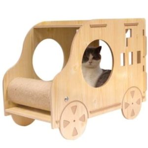 taking a drive wood car