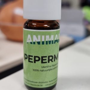 natuurzuivere etherische olie pepermunt 10 ml