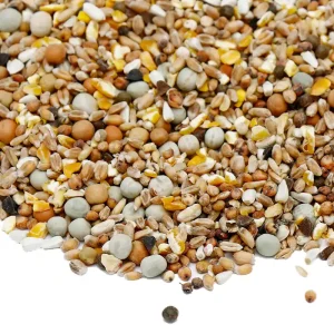 Premium Sierduivenvoer