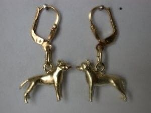 Oorbellen – Stafford