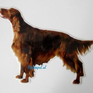 Sticker – Ierse Setter – 11