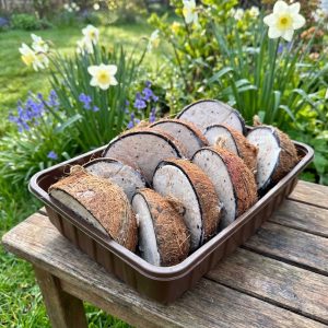 Halve gevulde kokosnoot – High Energy – 10 pack