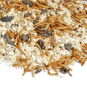 Strooivoer Excellent Muesli, Rozijn en Meelworm: Een topkeuze voor tuinvogels