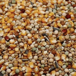 Premium Duivenvoer Allround Mix