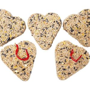 Vogelzaad – Hartvorm