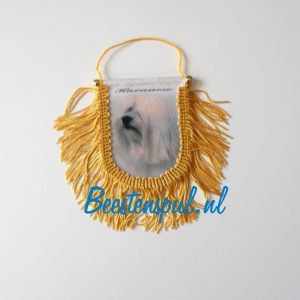 Vaantje – Havanezer