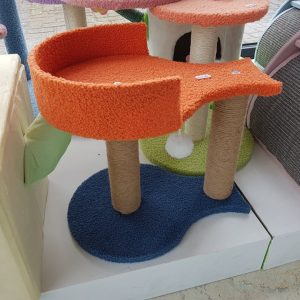 kittenpaal fish orange blue