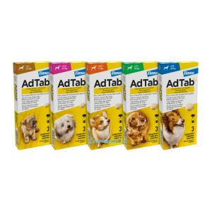 Adtab – Kauwtabletten – Hond