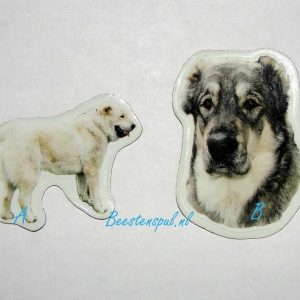 Magneetje – Aziatische Owcharka