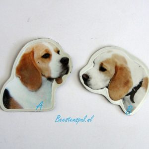 Magneetje – Beagle