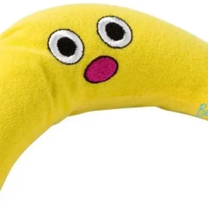 Petstages – Green Magic Boomerang Buddy