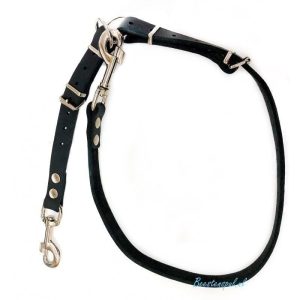 Bottcher Tuig – Leder – Chroom