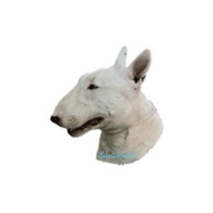Sticker – Bull Terrier – 1
