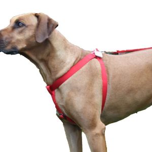 Hondentuig – Canac rood
