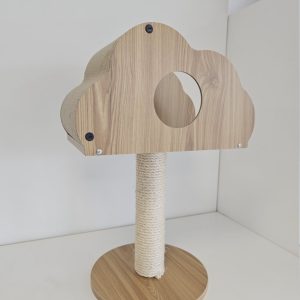 chin kittenpaal cloud