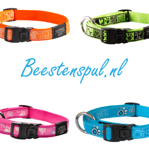 Rogz for Dogz – Klikhalsband – Fancy Dress