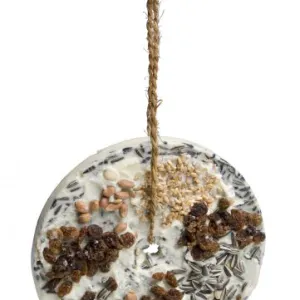 Bird “Disc” pinda’s+rozijnen