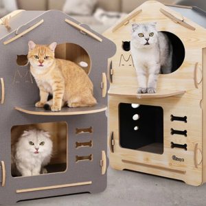 DONATIE ASIEL EN OPVANGCENTRA catscollectionstuff huisje double pleasure