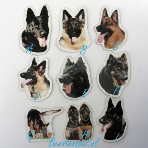 Magneetje – Duitse Herder