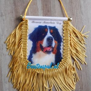 Vaantje – Berner Sennen