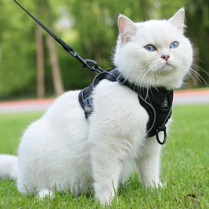AniPets PurrWalk – Kattenharnas met Lijn
