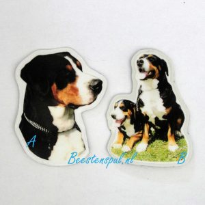 Magneetje – Grote Zwitserse Sennenhond