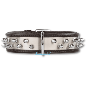 Doxtasy – Halsband – Steel Pulse