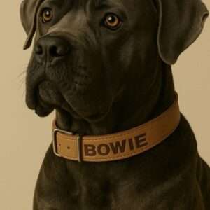 Gepersonaliseerde naturel softleren hondenhalsband 30mmx65cm